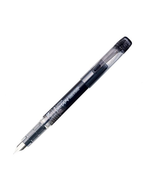 Platinum Preppy Fountain Pen - Fine - 03 Black - 300#1-2